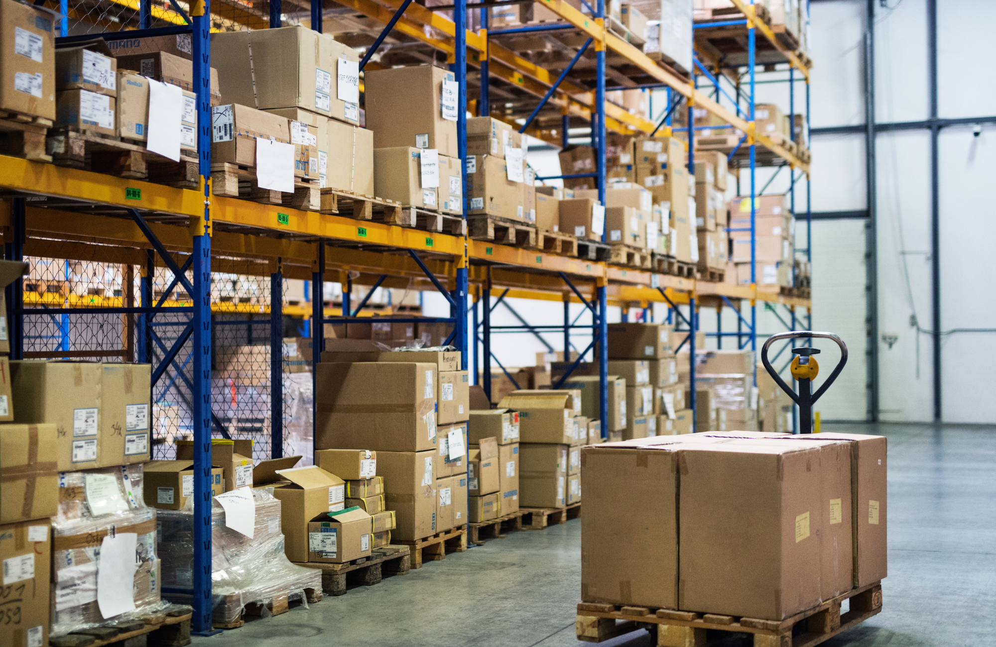 Untitled design (20)