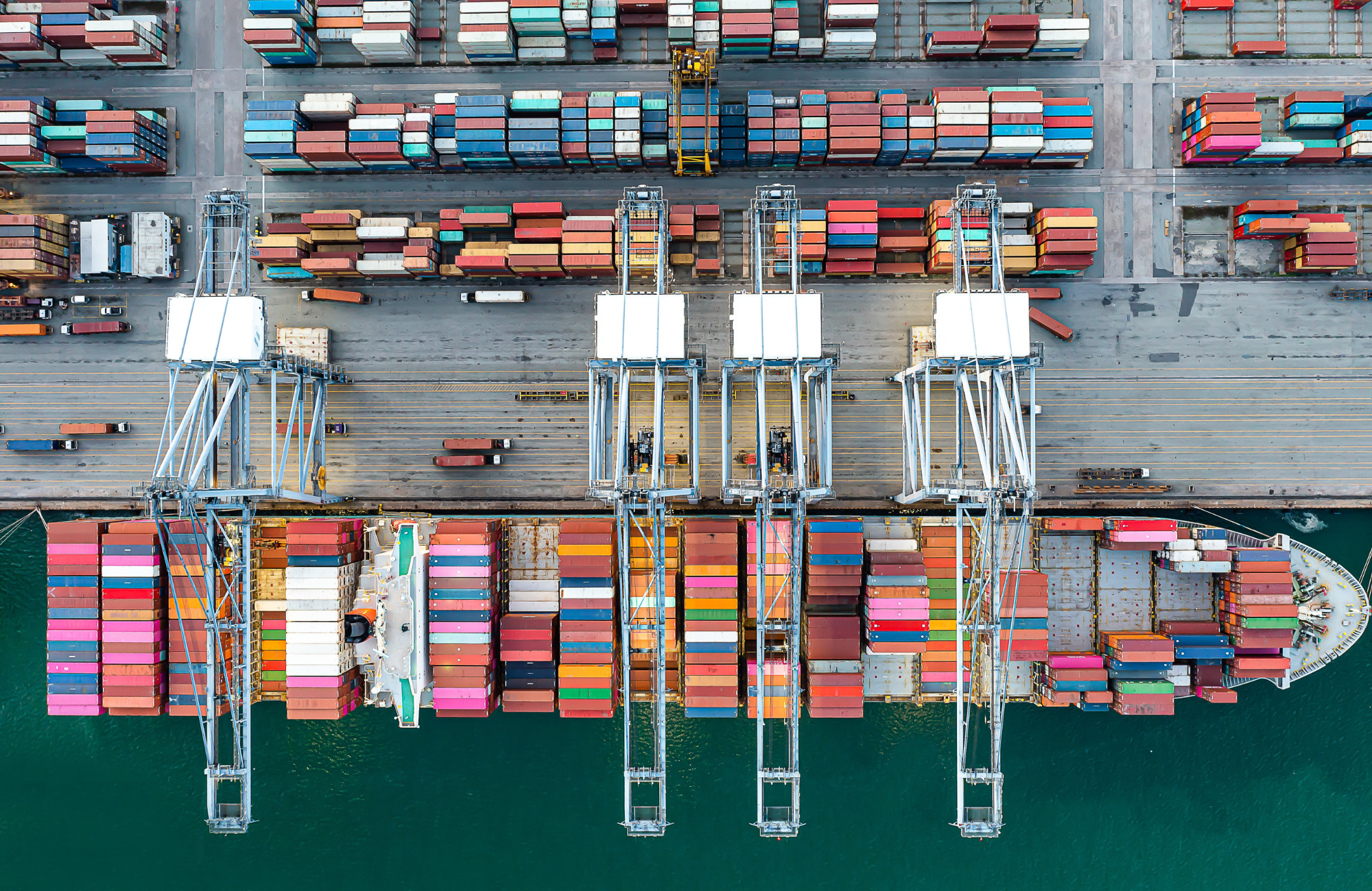 Untitled design (21)