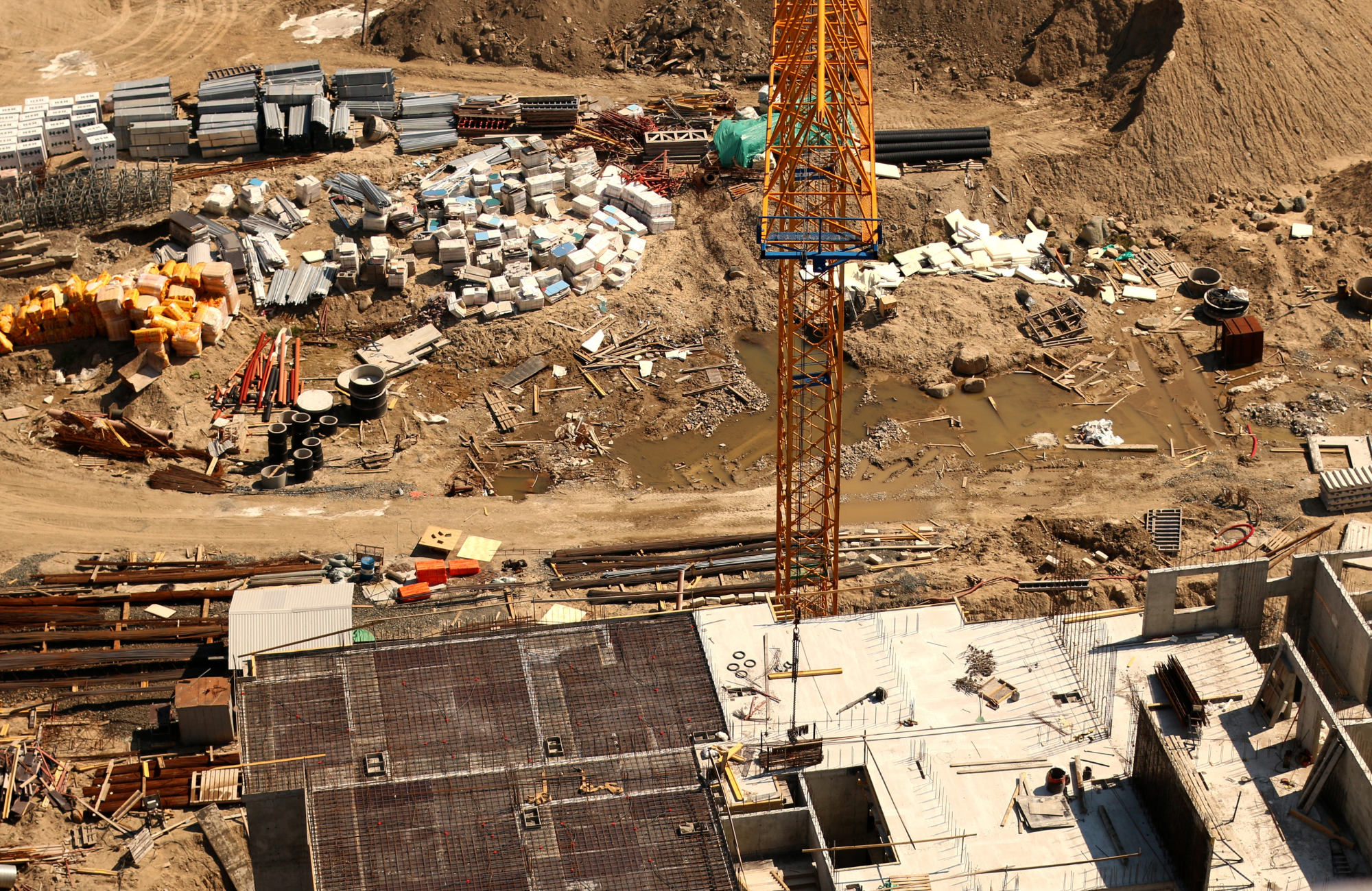 Untitled design (23)